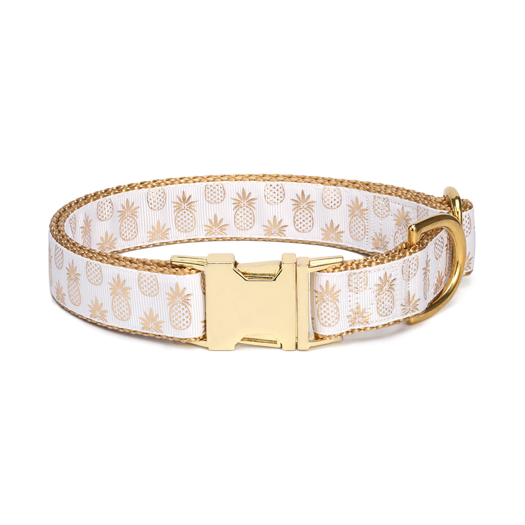 Gold Pineapple Tropical Summer Dog Collar - waaagPet