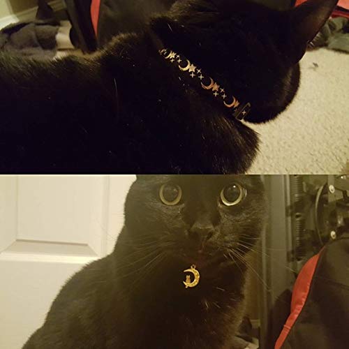 Gold Moons Stars on Black Cat Collar
