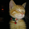 お祝いのパッチワーククリスマス猫の首輪