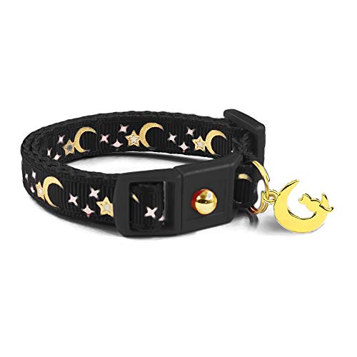 moons stars on black cat collar
