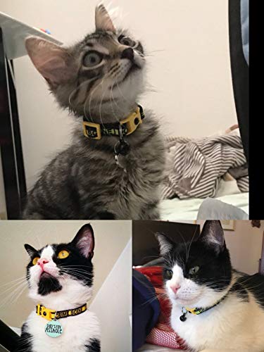Fehlermacher Cat Collar