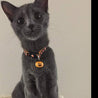 Halloween Jack-O-Lanterns Cat Collar