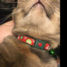 Snowflake Bubbles op Red Christmas Cat Collar