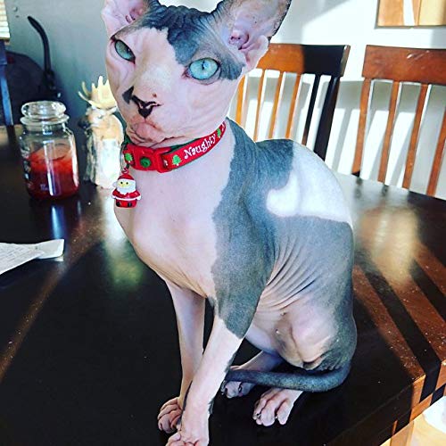 Naughty or Nice Christmas Cat Collar