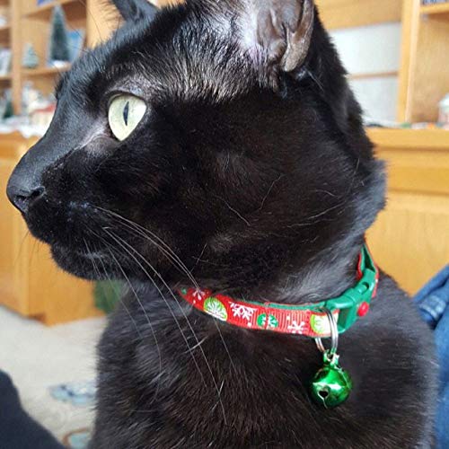 Snowflake Bubbles on Red Christmas Cat Collar