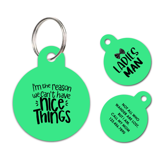 I'm the reason we can't have nice things | Personalized Funny Pet ID Tag