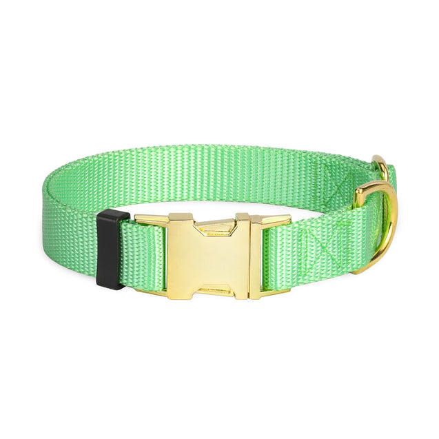 Klassischer Neon Green Nylon Hundehalsband