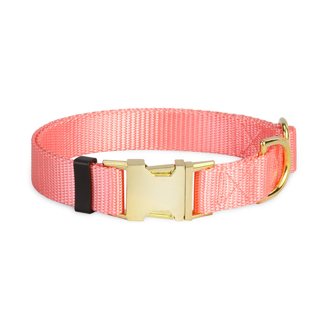 Classic Pink Nylon Dog Collar