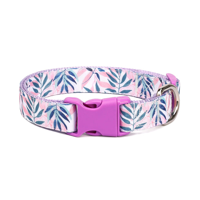 Lavendel Breeze Dog Collar