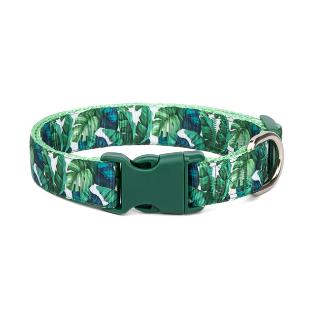 Tropical Forest Collar